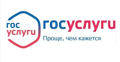 госуслуги смена инн